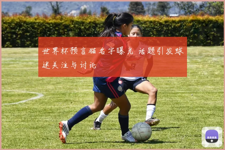世界杯预言猫名字曝光 话题引发球迷关注与讨论