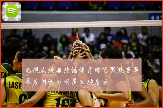 电视剧频道热播体育综艺聚焦赛事幕后训练与明星互动看点