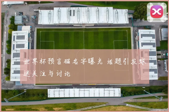 世界杯预言猫名字曝光 话题引发球迷关注与讨论