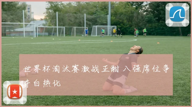 世界杯淘汰赛激战正酣 八强席位争夺白热化