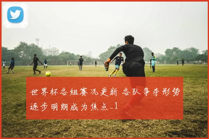 世界杯各组赛况更新 各队争夺形势逐步明朗成为焦点_1