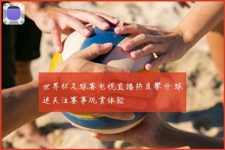 世界杯足球赛电视直播热度攀升 球迷关注赛事观赏体验
