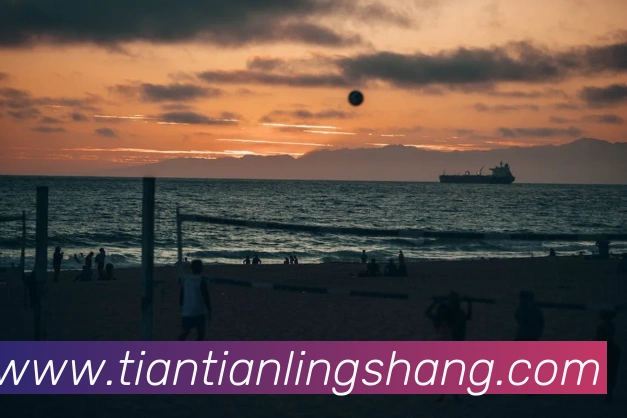 世界杯官方网络平台服务体系