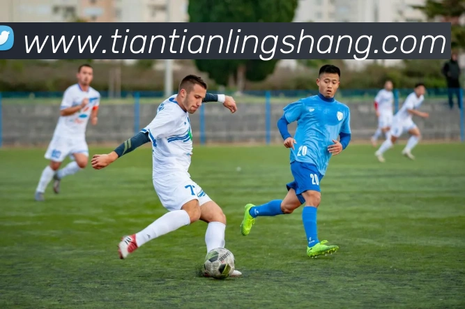 多媒体互动体验